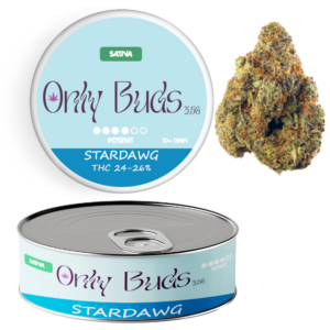 Stardawg