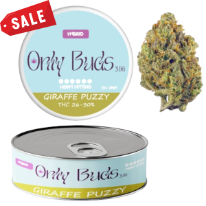 Giraffe Puzzy
