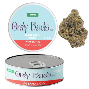 Mimosa