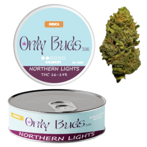Northern Lights