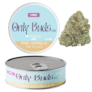 Pink Gorilla