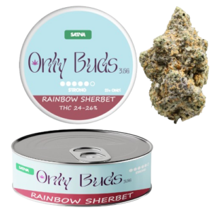 Rainbow Sherbet RS 11