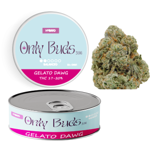 Gelato Dawg