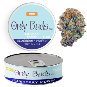Blueberry Muffin