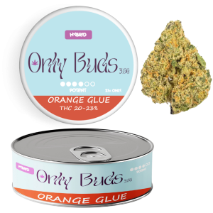 Orange Glue