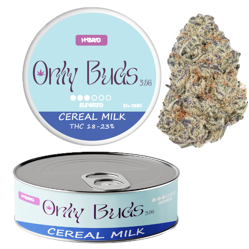 Untitled design (17) Background Removed